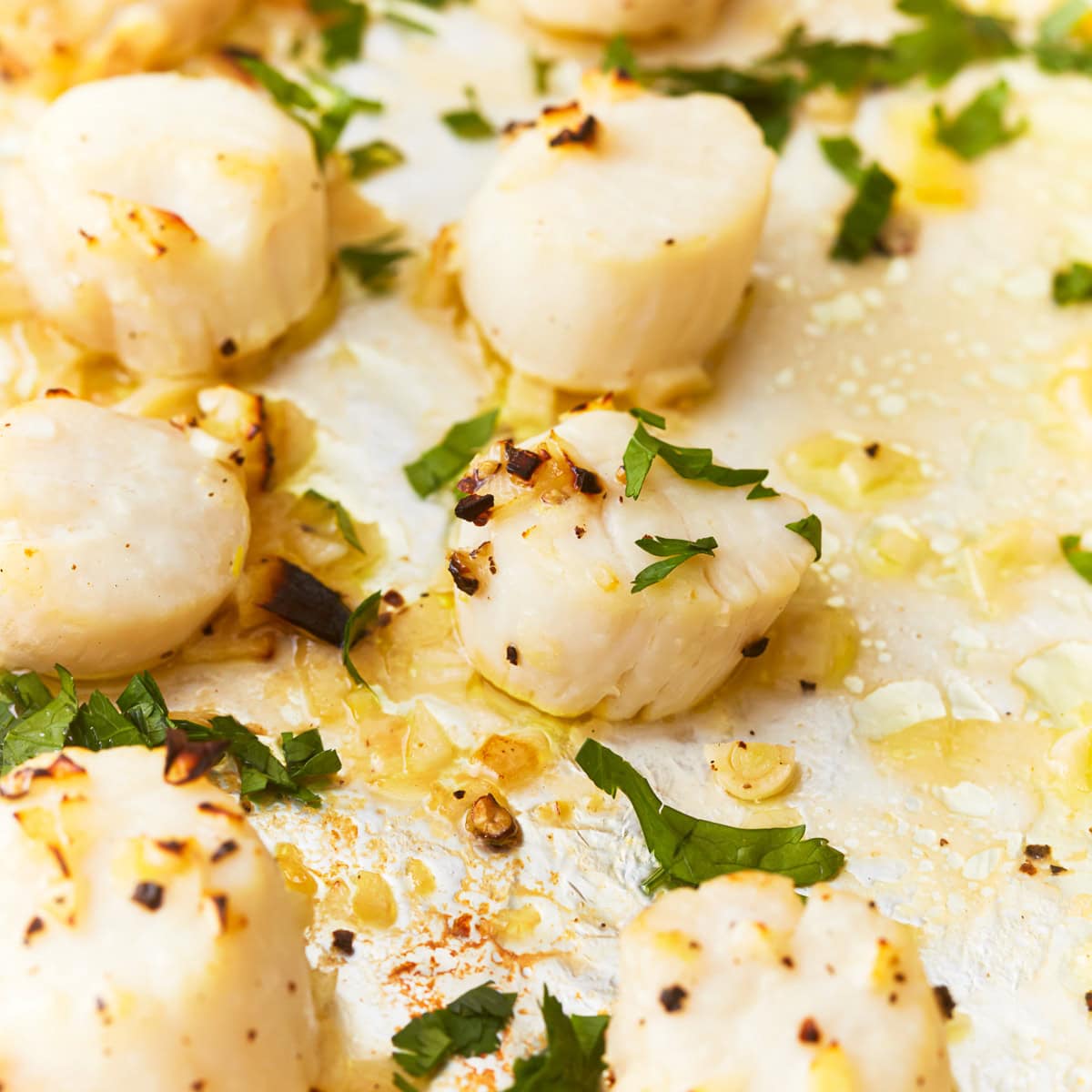 Easy Grilled Scallops: Quick, Delicious, and Simple to Make